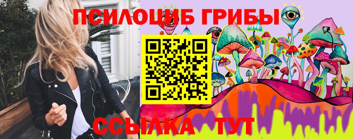 Псилоцибиновые грибы Psilocybine cubensis Сердобск