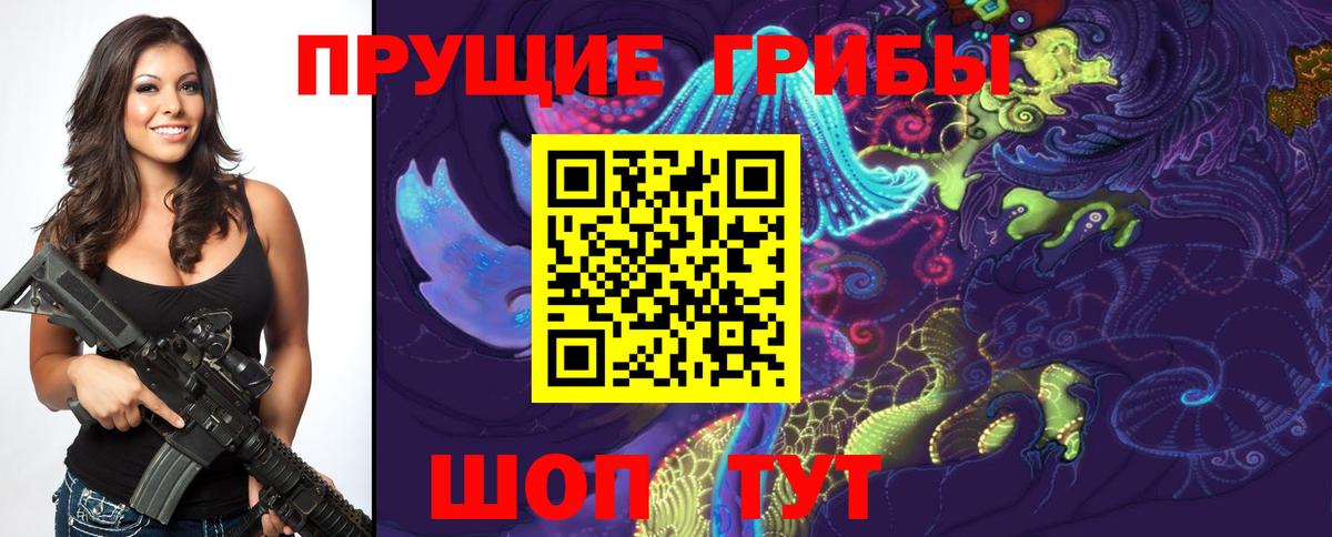Псилоцибиновые грибы GOLDEN TEACHER  Вход с VPN  Сердобск 